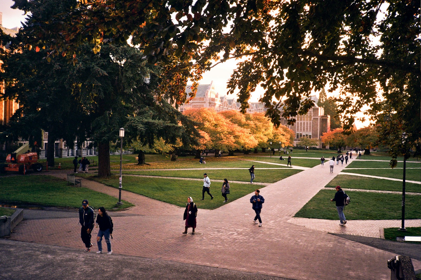 people walking on a path in a park